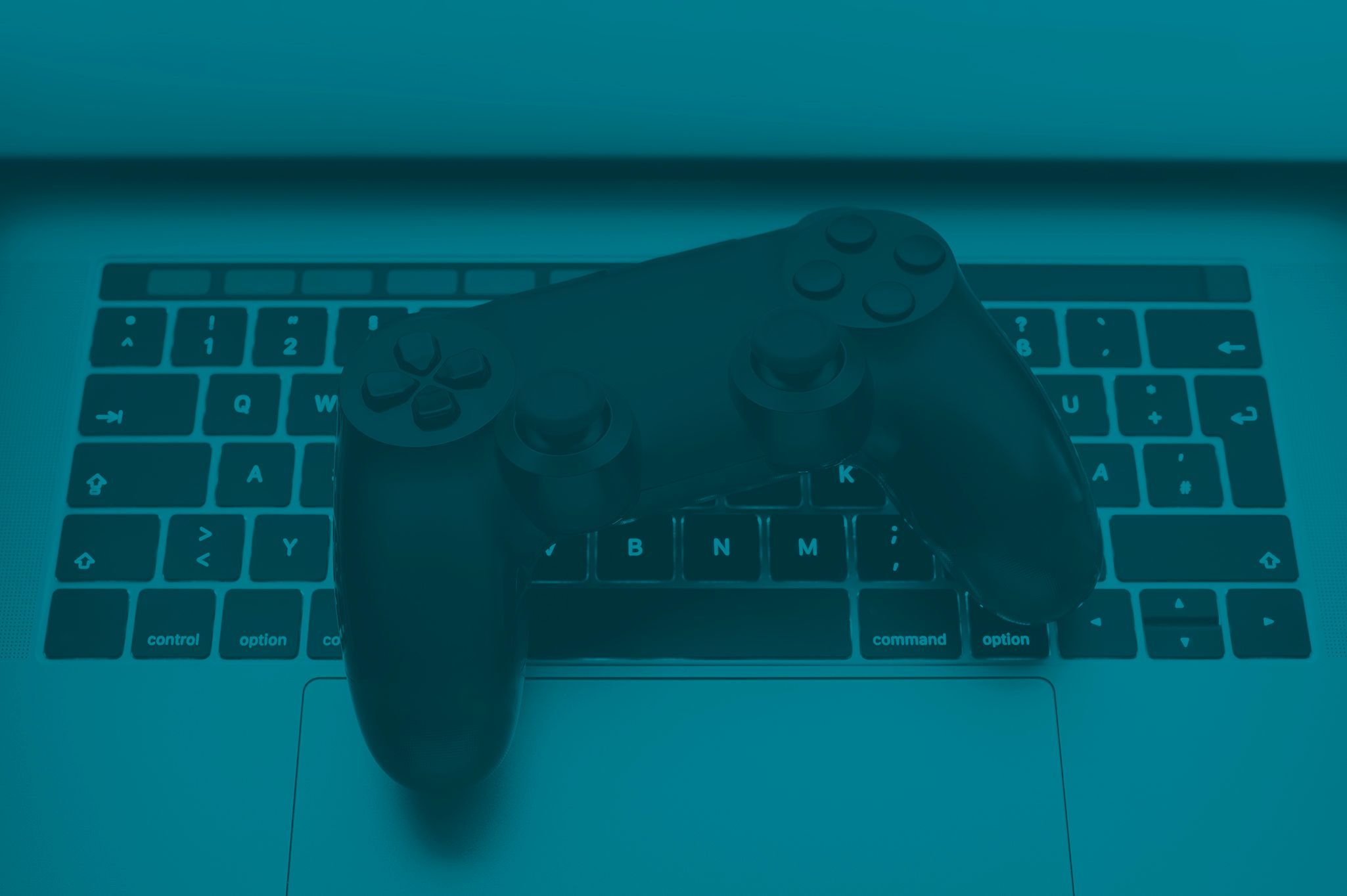 Electronic Gaming Wilson Sonsini